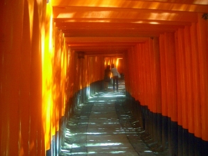 京都　伏見稲荷神社 鳥居の木漏れ日